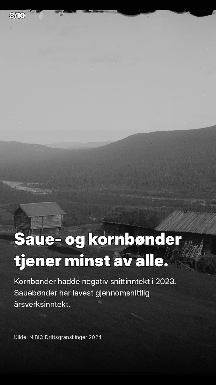 Saue- og kornbønder tjener minst av alle. Kornbønder hadde negativ snittinntekt i 2023.